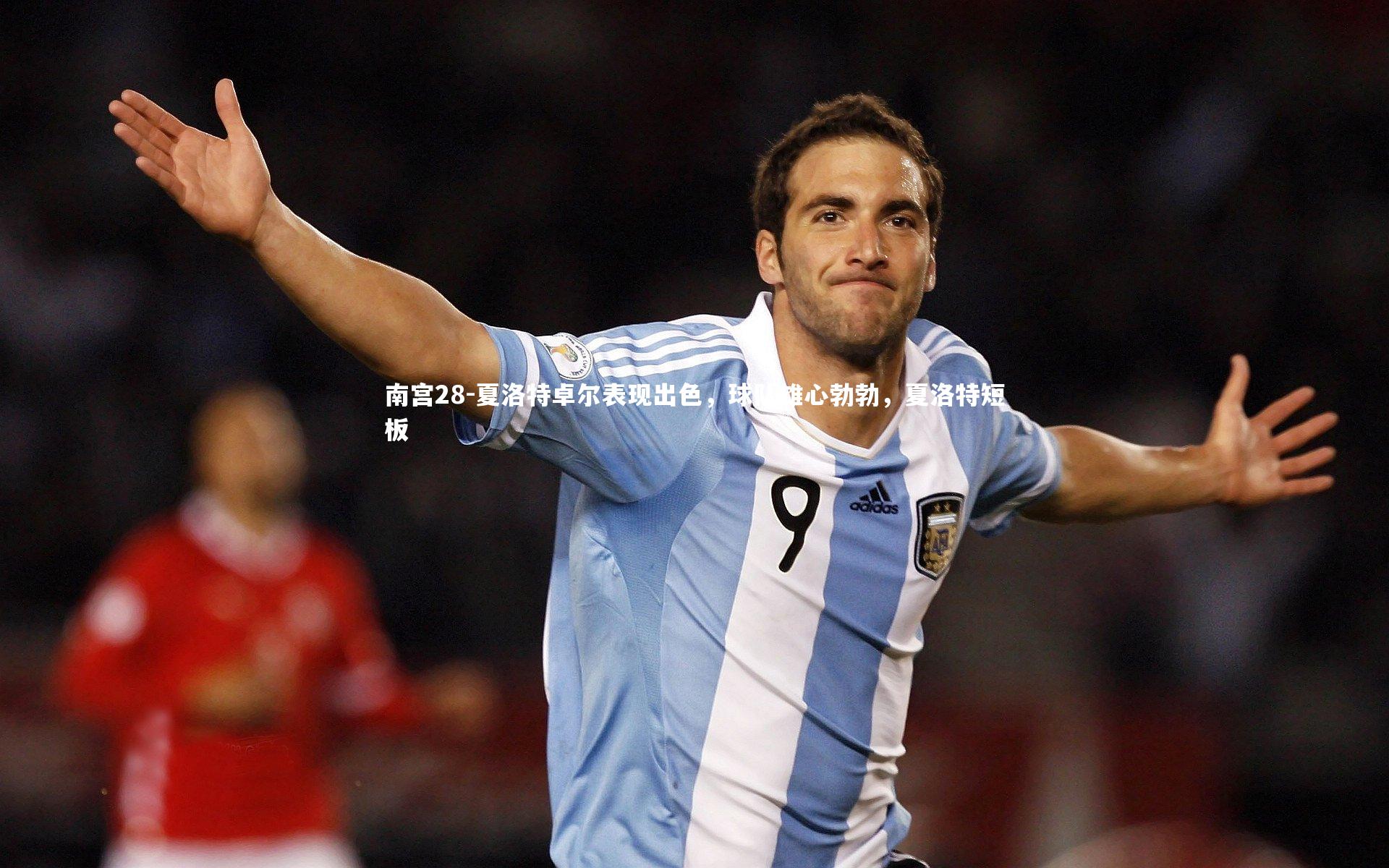 夏洛特卓尔表现出色，球队雄心勃勃，夏洛特短板